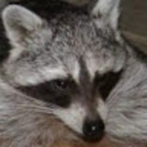 Meet your Posher, Cathy